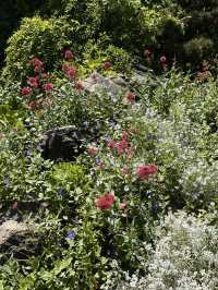 Chill time at Tbilisi botanical garden 