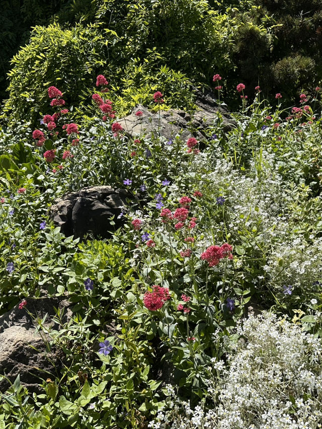 Chill time at Tbilisi botanical garden 