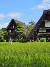 🇯🇵 My Ultimate 3-Week Japan Itinerary: Culture, Nature & City Buzz in One Epic Trip 🌸