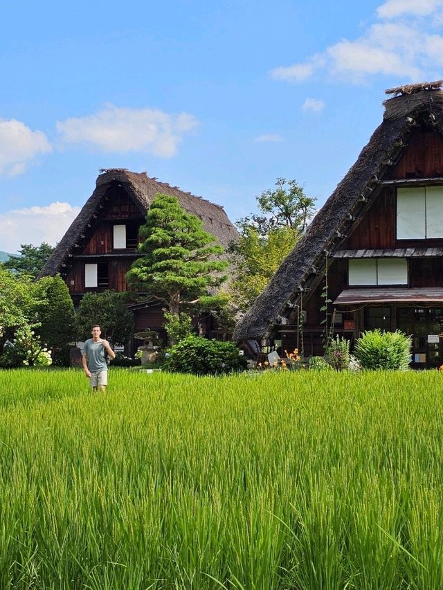 🇯🇵 My Ultimate 3-Week Japan Itinerary: Culture, Nature & City Buzz in One Epic Trip 🌸