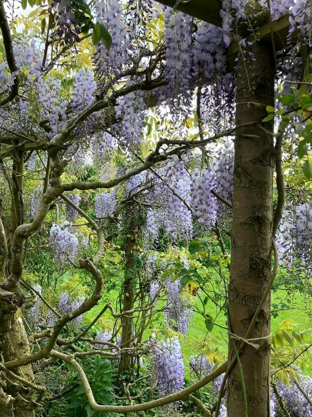 🌿 Rousham Gardens – England’s Timeless Landscape Escape
