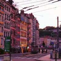 pretty Lyon