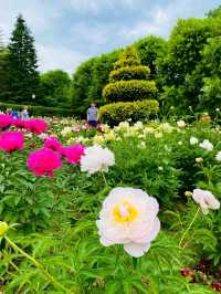 Gorky Park: Moscow’s Green Heart of Culture and Leisure