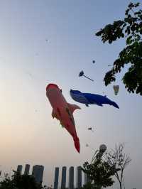 A fantastic festival in Ho Chi Minh 