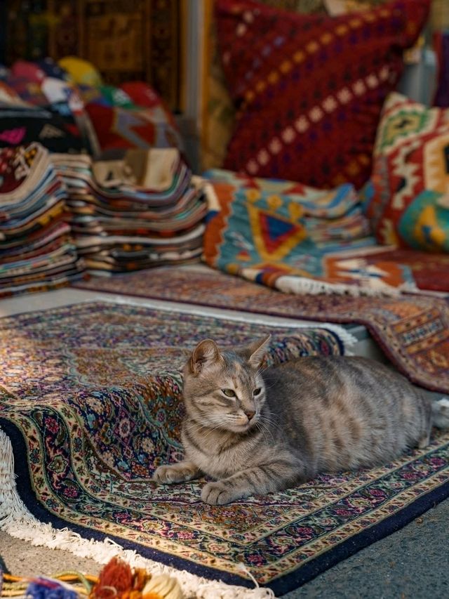 🇹🇷✨ “Istanbul on <$100: Mosques, Markets & Bosphorus Breezes in 2 Days”