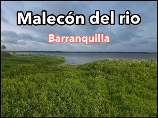 El Malecón en Barranquilla - Colombia 🇨🇴 
