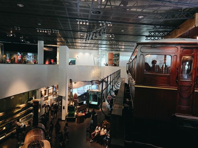 🏛️ 【利物浦博物館遊記】港口城市的靈魂記憶 🏛️ 【利物浦博物館遊記】港口城市的靈魂記憶