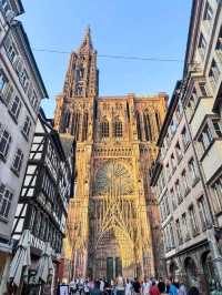 Enchanted Halloween Magic in Strasbourg! 🧙‍♀️✨