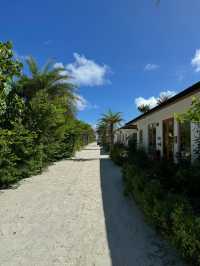 Joy Island Maldives — Where Luxury Meets the Rhythm of the Reef
