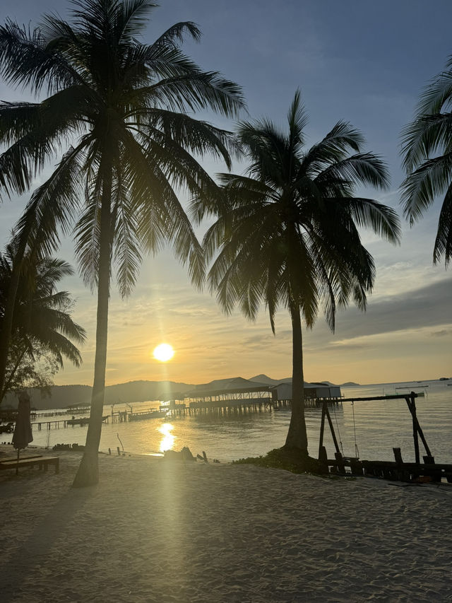 Paradise Found🌴 Paradise Found🌴