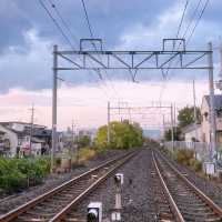Nara: Deer, Temples & Timeless Japanese Charm 🇯🇵✨
