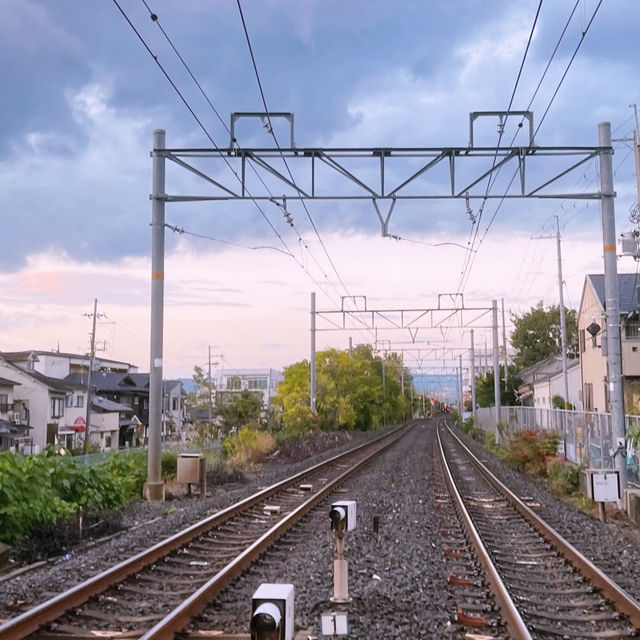 Nara: Deer, Temples & Timeless Japanese Charm 🇯🇵✨