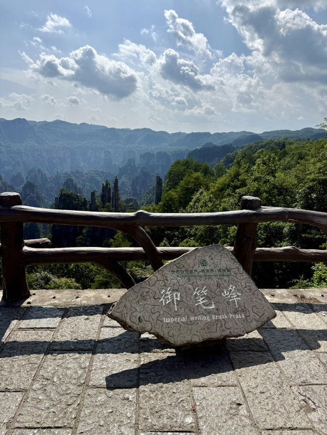 Макаки 🐒 ждут Вас в Национальном парке Чжанцзяцзе ✨ 