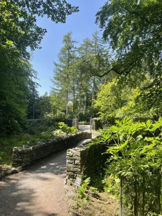 🌿 Lingholm in June: Gardens & Beatrix Potter Magic 🐇