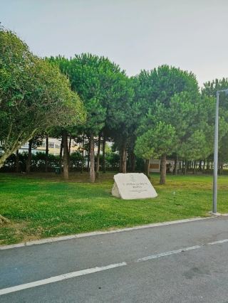 泰芬·居爾索伊公園——奧爾杜寧靜的海濱休憩地