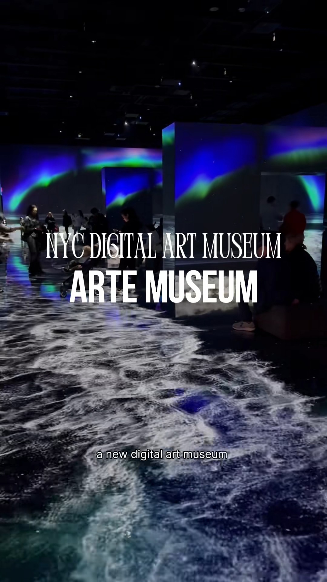 NYC DIGITAL ART MUSEUM
