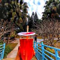 KFC Kiosk in Lianhuashan Park Futian 
