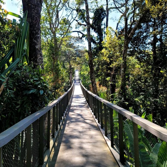 A Forest Adventure: The Habitat at Penang Hill 🌳🐦🌺