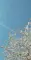 Phoenix_Wildewood_10