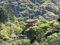 Kiyomizu Temple and Ancient Cemetery 