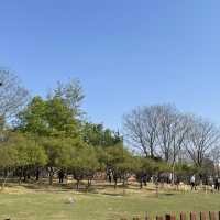 Ming Tomb 