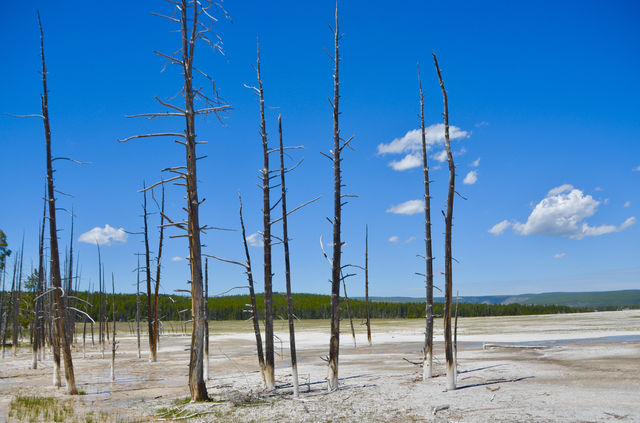 Check-in at the natural wonder of the world - Yellowstone's Thumb Geyser.