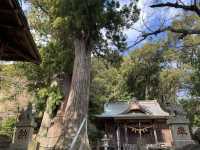 Japan's Izu Shuzenji, a less popular ancient hot spring resort.