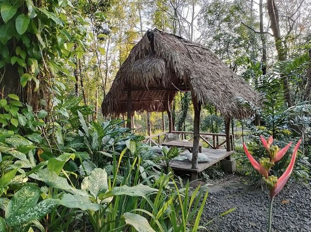 A Quick Nature Getaway!🇵🇭