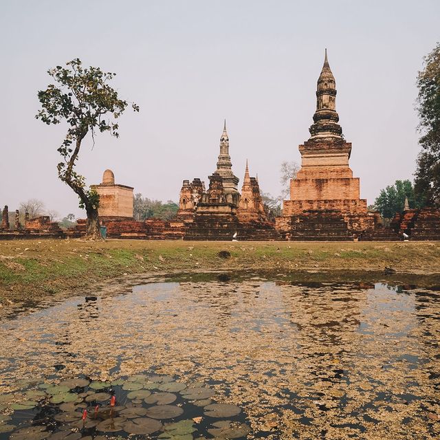 🇹🇭瑪哈泰寺Wat Mahathat@素可泰
