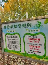 擁有森林棧道的天津免費公園