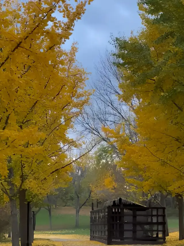 It's not Switzerland! It's not Korea! It's autumn in Beijing