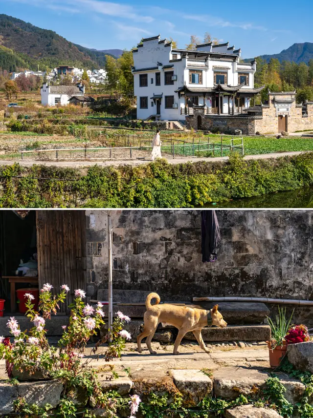 Lu Village in Huizhou, a treasure of ancient villages | A severely underestimated millennium old village