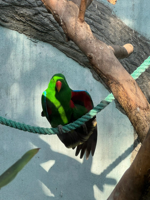 兒時聖地上海動物園裡有什麼?