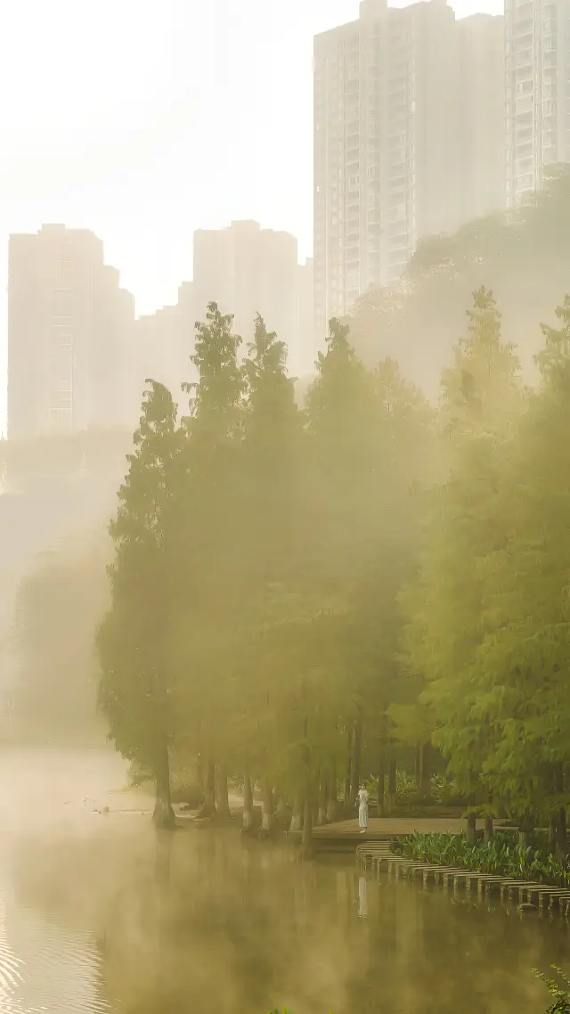 彩雲湖真的太仙了