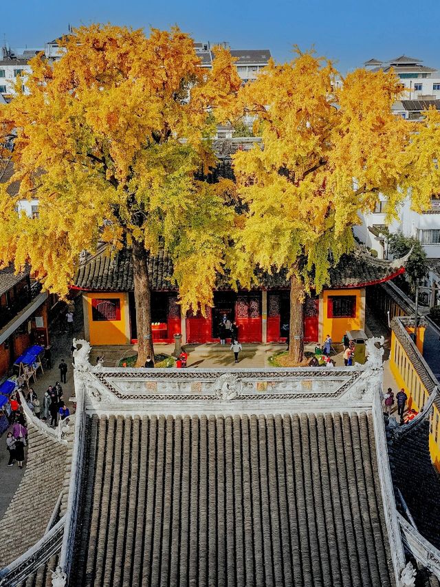 如果你再不來蘇州這個免費寺廟，秋天的美就會稍縱即逝