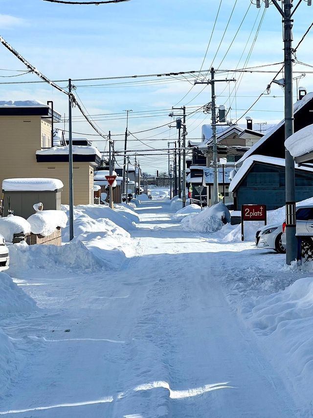 🇯🇵 北海道 旭川｜冷門  但 巨美！！！！