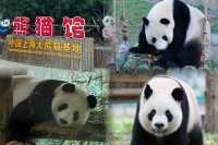 上海野生動物園｜跌進可愛的世界裡