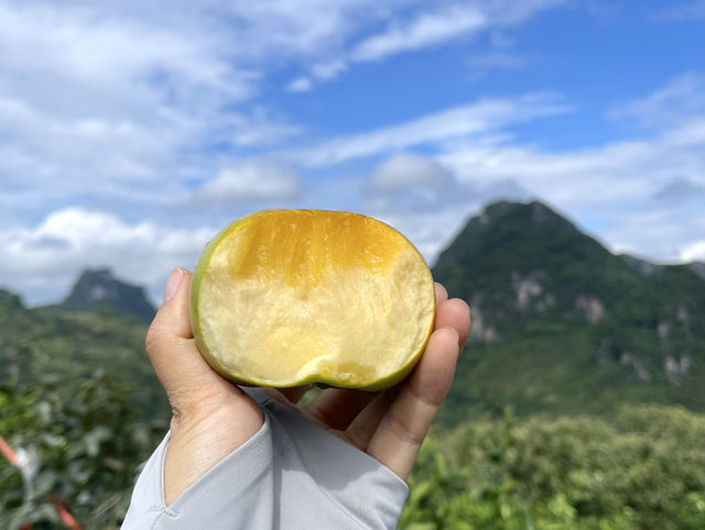 山山而川，桂林平樂知行打卡絕美江景