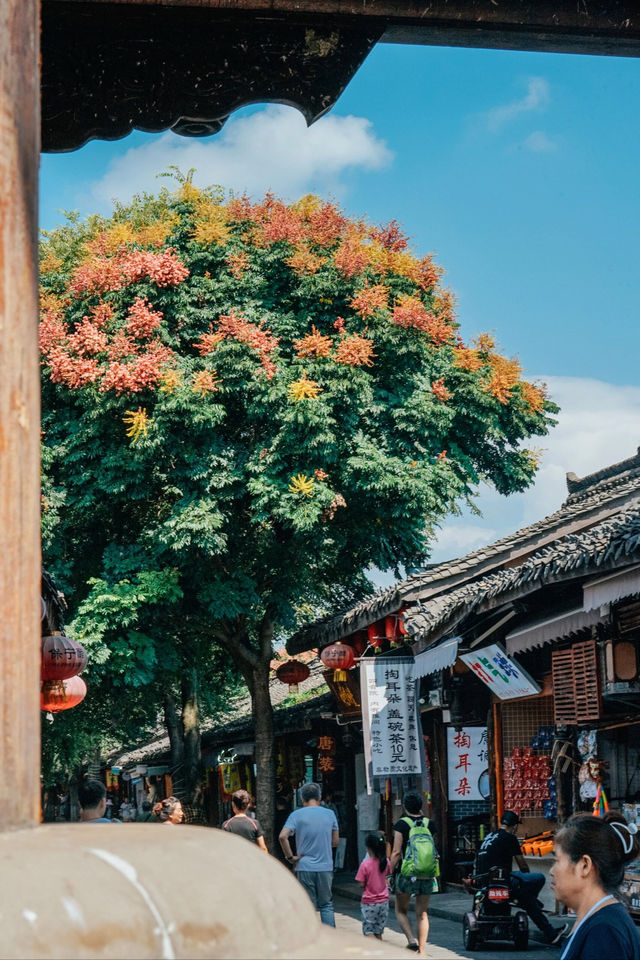 阆中古城 國家5A級旅遊景區