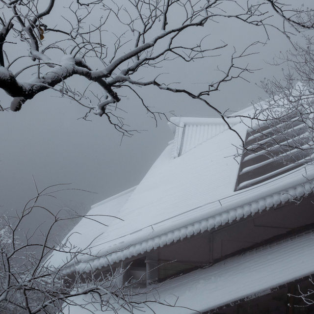 美哭 下雪天的北高峰宛若仙境