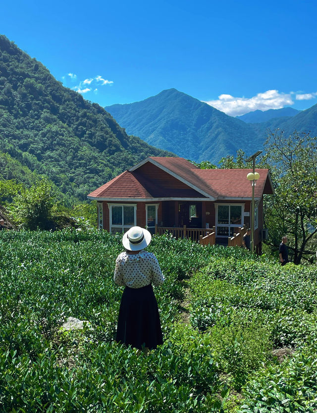 國慶反向旅遊！隴南這幾個小眾城市景色不輸國外