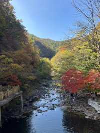 關門山賞楓好去處