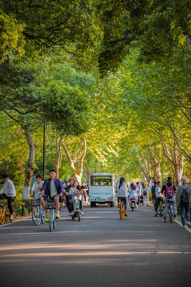 武漢旅行，當光站在東湖的馬路上時真的太美了