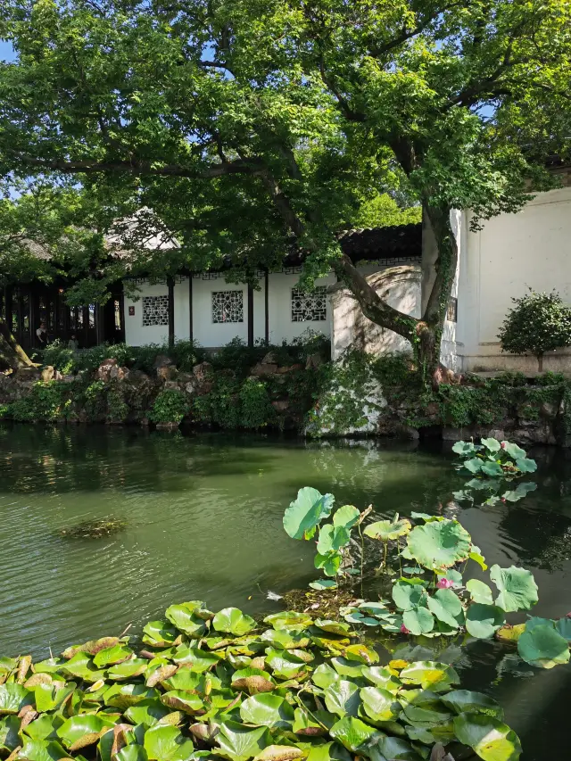 Suzhou Canglang Pavilion