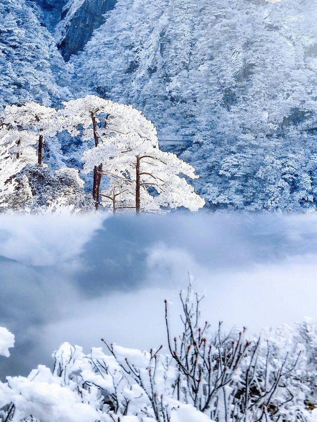 不是爾濱去不起，而且武功山雪景更有性價比