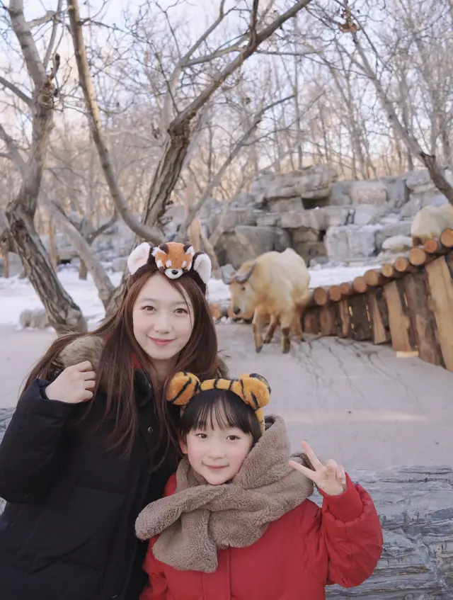 冬の子供とのお出かけスポット｜北京の野生動物園に行くべきです