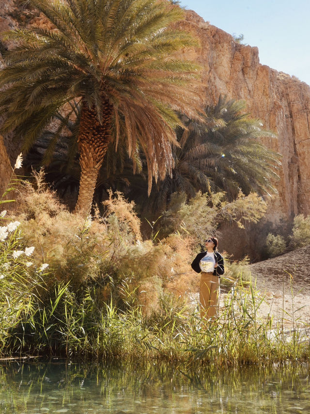突尼斯沙漠門戶，托澤爾的浪漫與綠洲奇觀