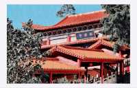 獨自漫步在清泉古寺，感受寺廟的煙火氣息！