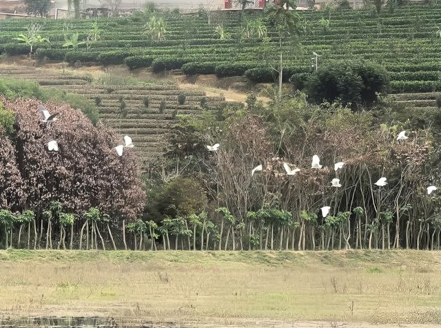 普洱天竿箐村的一家民宿 普洱天竿箐村的一家民宿