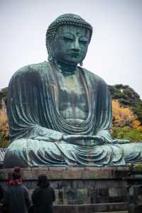 去日本不要錯過的神奇寺廟和神社